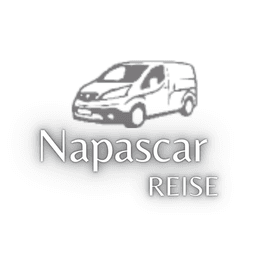 napas car service logo